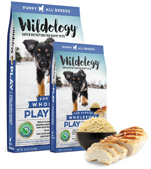 Wildology on sale puppy food